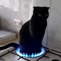 Андрей Пичугин