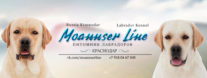 Лабрик Бай Интернет Магазин