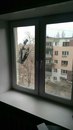Объявление от Алексей - фото №1
