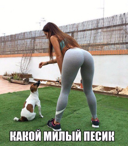 VfevY3h3u8E.jpg