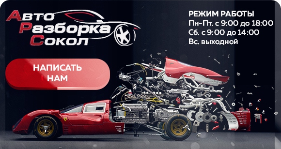 Сокол авто гомель