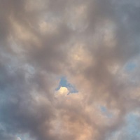 Макс Жуковец