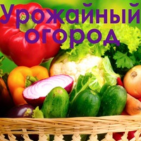 Урожайный огород татьяна видео новое 2018 Урожайный огород татьяна видео новое 2018