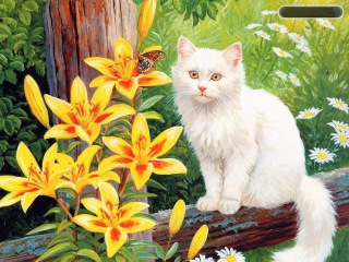 Top 10 cutest baby kittens doing funny things video 783