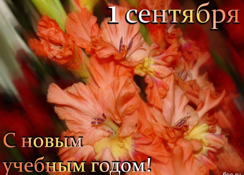 https://pp.userapi.com/c626219/v626219325/23395/7RZIHHilsmY.jpg