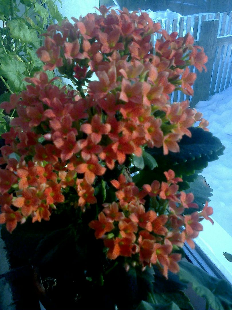 фотография из вКонтакта