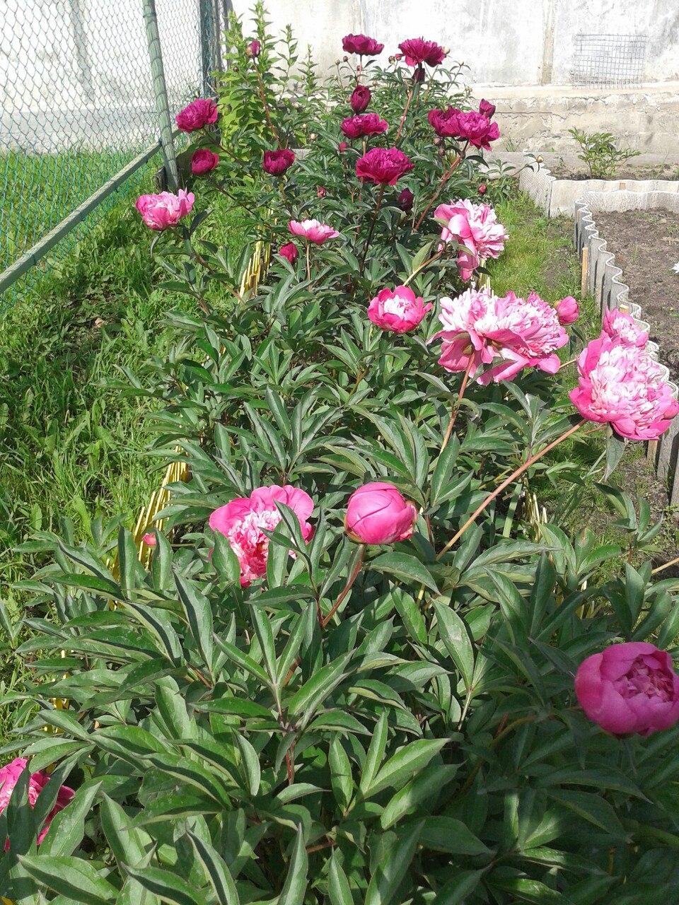 фотография из вКонтакте