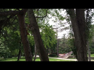 ol_ga_il_ko video