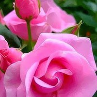 Татьяна Утёнкова