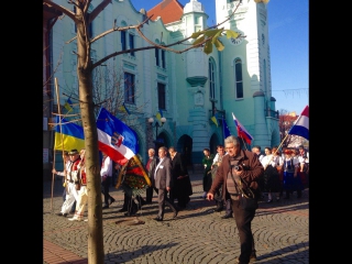 19.11.2016. Червена ружа трояка.