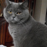 Владимир Жаворонков | Москва