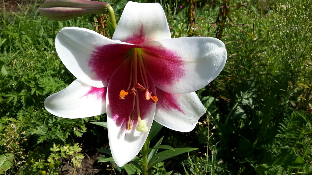 фотография из вКонтакта