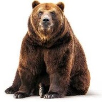 Александр Смирнов