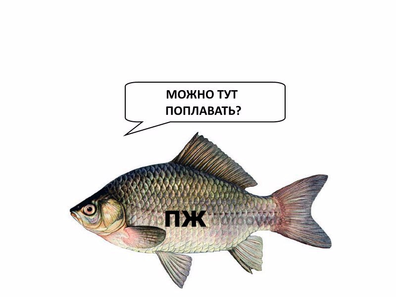 uScDcg-HczY.jpg