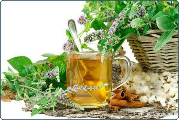Лучшие рецепты народной медицины при кашле.