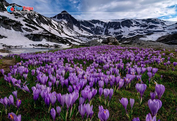 #Раннее_бронирование@toptrips 