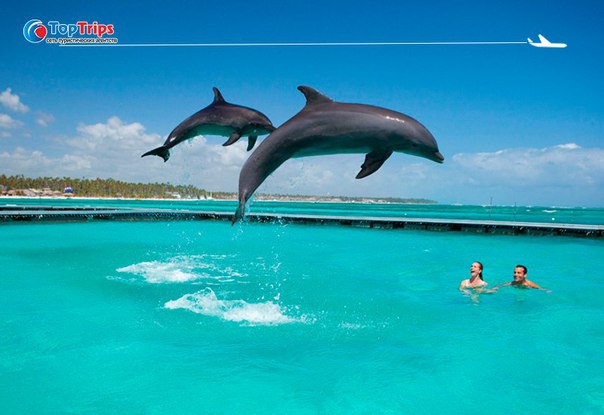#Пляжи_мира@toptrips 
