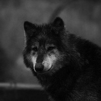 Евгений Рязанов | Комсомольск-на-Амуре