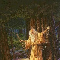 Дмитрий Фатченко