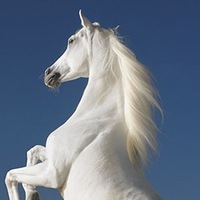 Вадим Шманёв