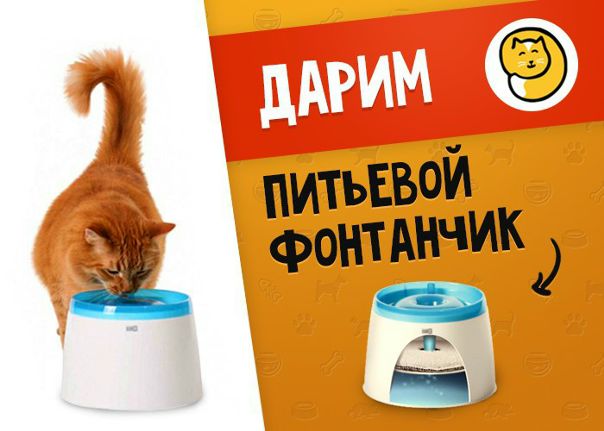 Котофей Интернет Магазин Зоотоваров Красноярск