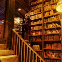 Дарья Тимохина | 