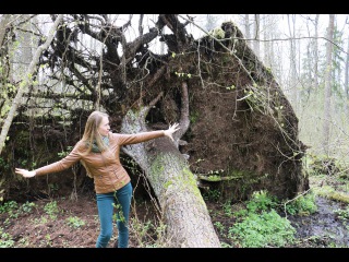 Экскурсия на велосипедах по Беловежской пуще (Belovezhskaya Pushcha, Bialowieza Forest)