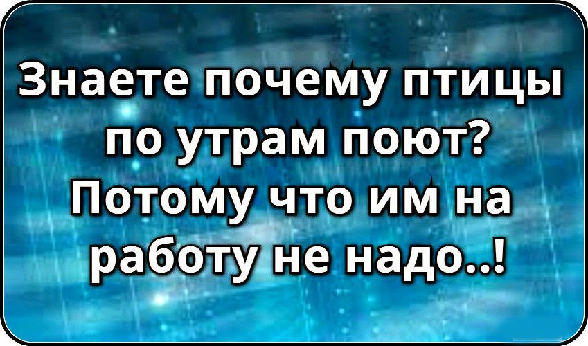 https://pp.userapi.com/c626329/v626329935/1b8be/esSR3uu4fcM.jpg