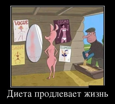 w_GBHY84xKw.jpg