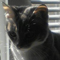 Александр Пунтус