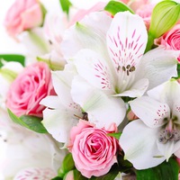 Елена Ельцова | Севастополь