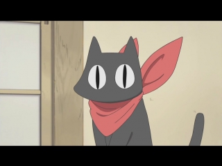 Cat ams_webm