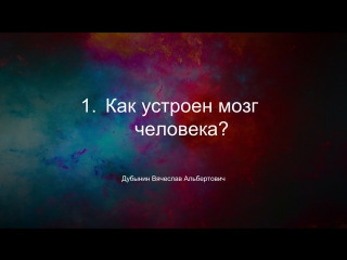 Как устроен мозг человека?