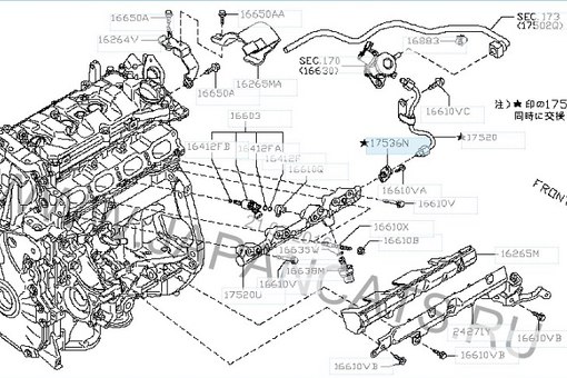 Ym2OFrparsI.jpg