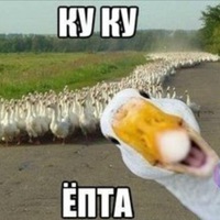 Павел Поспелов | 