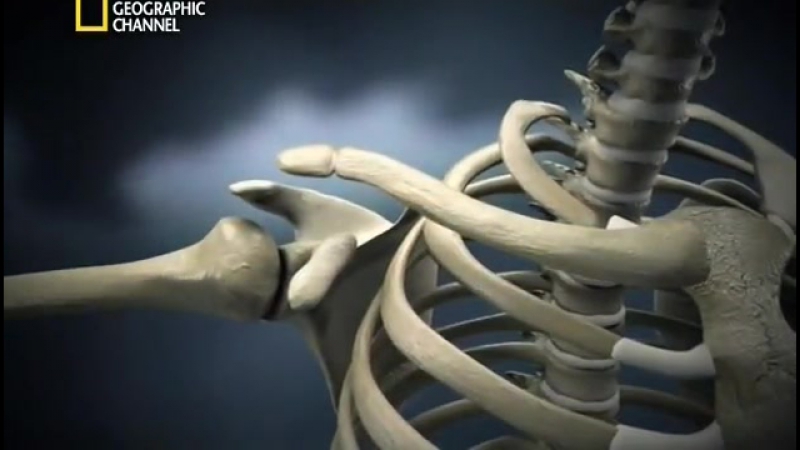 Криминалистическая лаборатория 2