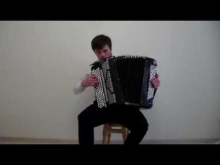 Henry Mancini - The Pink Panther(cover)/Sergey Neverov (bayan)