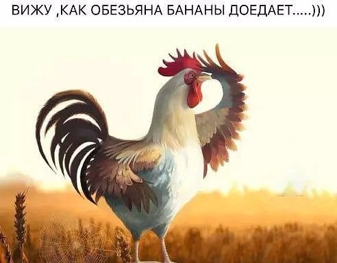1oxcoKG1Ee4.jpg