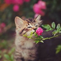 Наталья Генералова | 