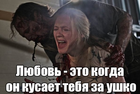 8Ie0e6fCi70.jpg