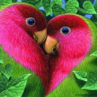 Ольга Шишкина | Евпатория