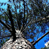 Лиля Зайнуллина |