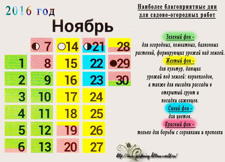 Ноябрь 2016 - наиболее благоприятные дни для работ в саду и огороде в ноябре Ноябрь 2016 - наиболее благоприятные дни для работ в саду и огороде в ноябре