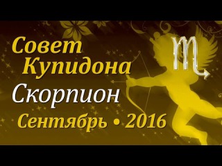 Скорпион, совет Купидона на сентябрь 2016. Любовный гороскоп.