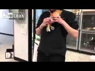 LiveLeak com Kitten wheelchair