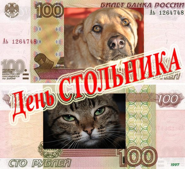 Афиша Улан-Удэ День стольника для приюта "Кот и пес"