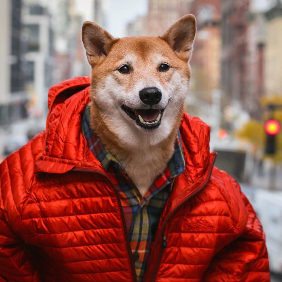 Игорь Кузьмин