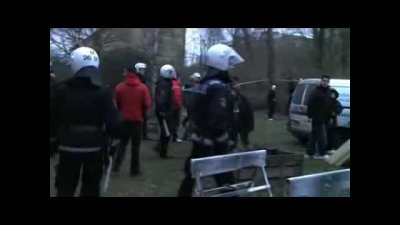 Svensk Ungdom - Frågor till far