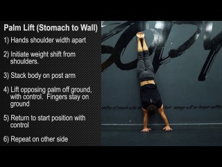 Palm Lift (Stomach to Wall)