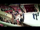 Пьяный мужик устроил представление в цирке Луганска
